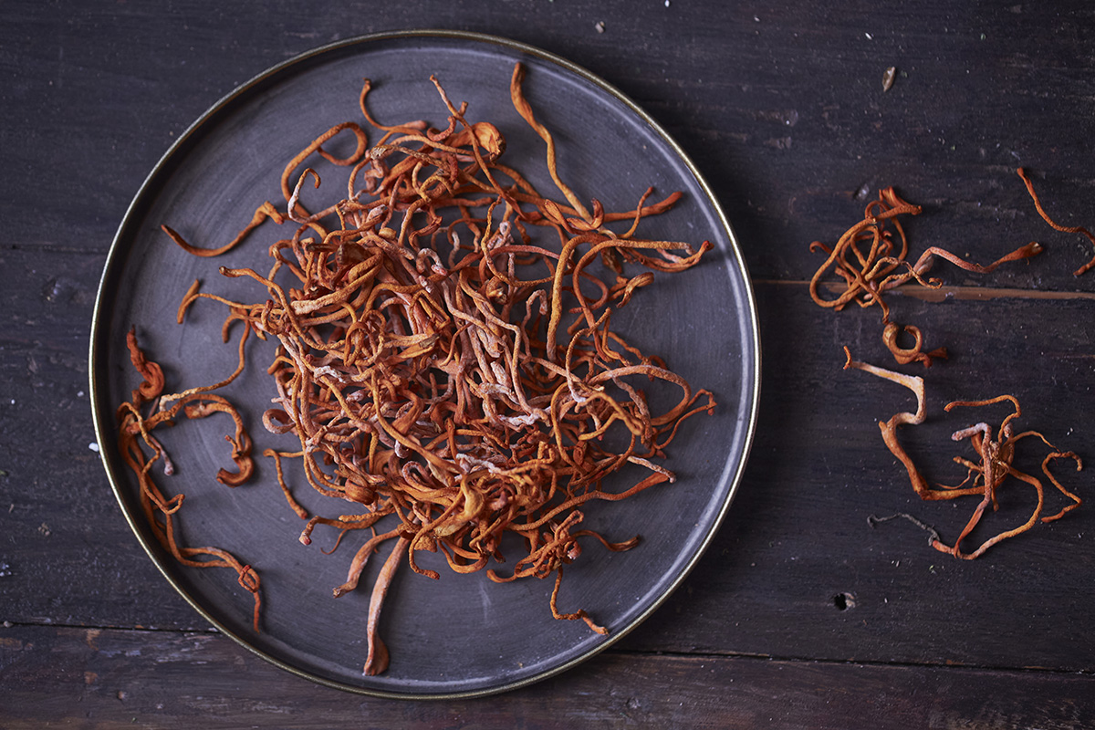 A dark grey plate covered in the edible fungus cordyceps is set on a dark wooden surface.