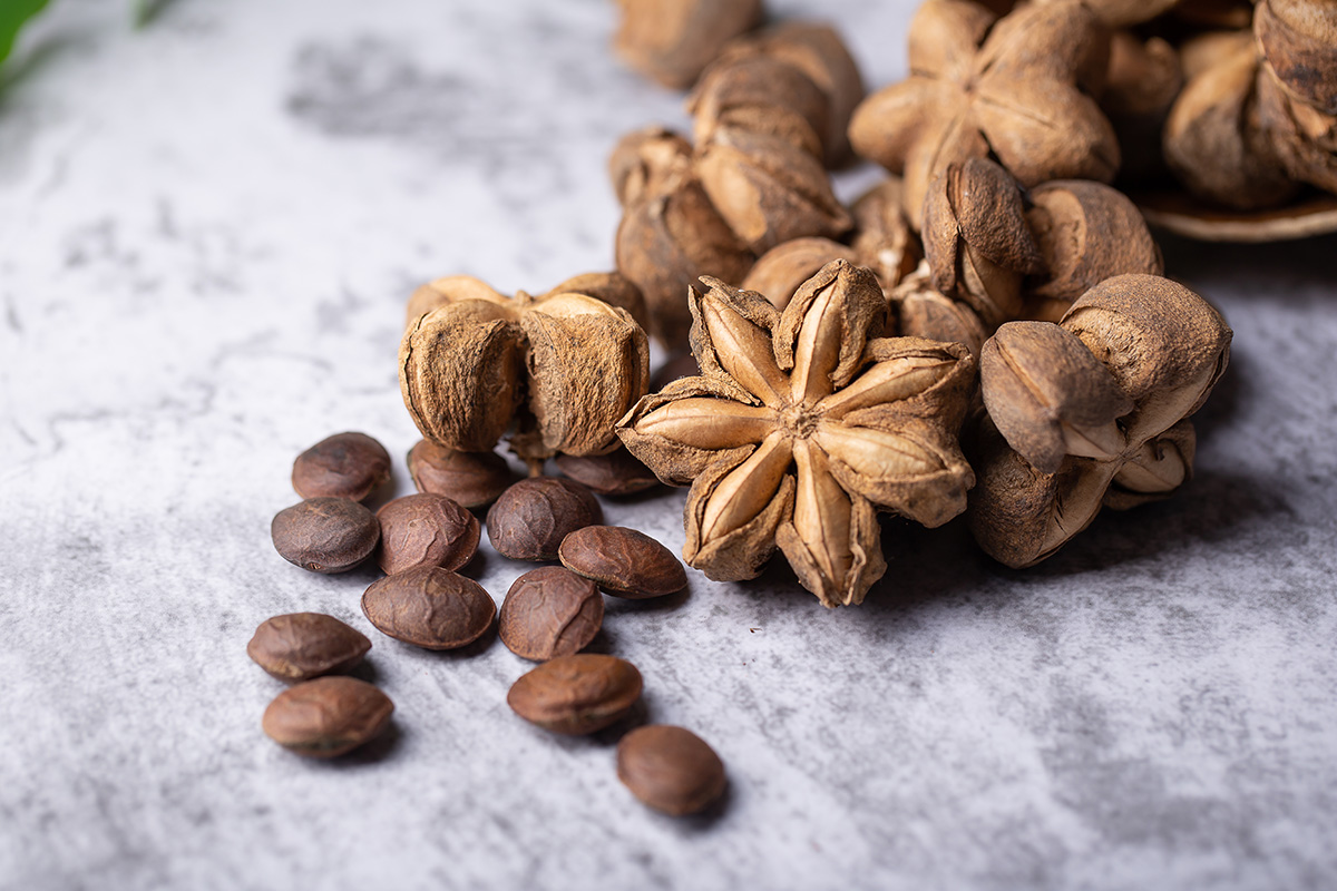 A pile of dried Sacha Inchi nuts are set on a grey surface.