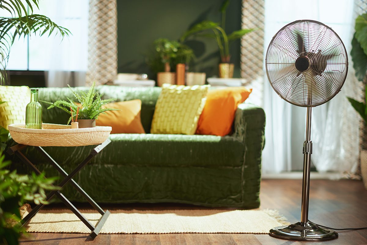 A metal fan stands in a stylish living room, featuring a green velvet sofa with orange and yellow cushions