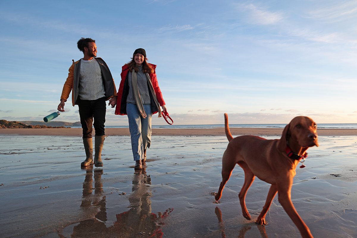 A happy couple walking their dog on the beach