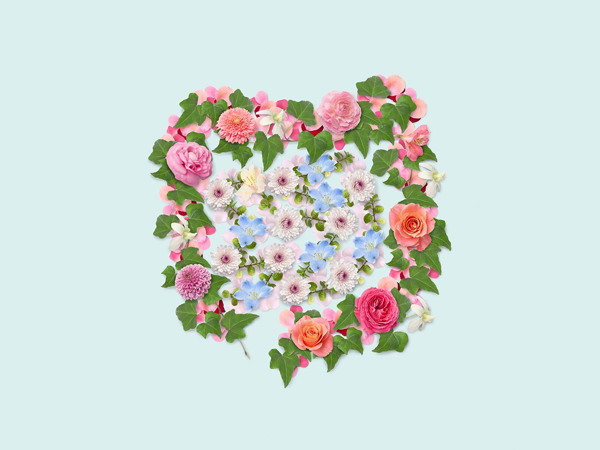 Flowers are arranged in shape of a human colon on a pale blue background