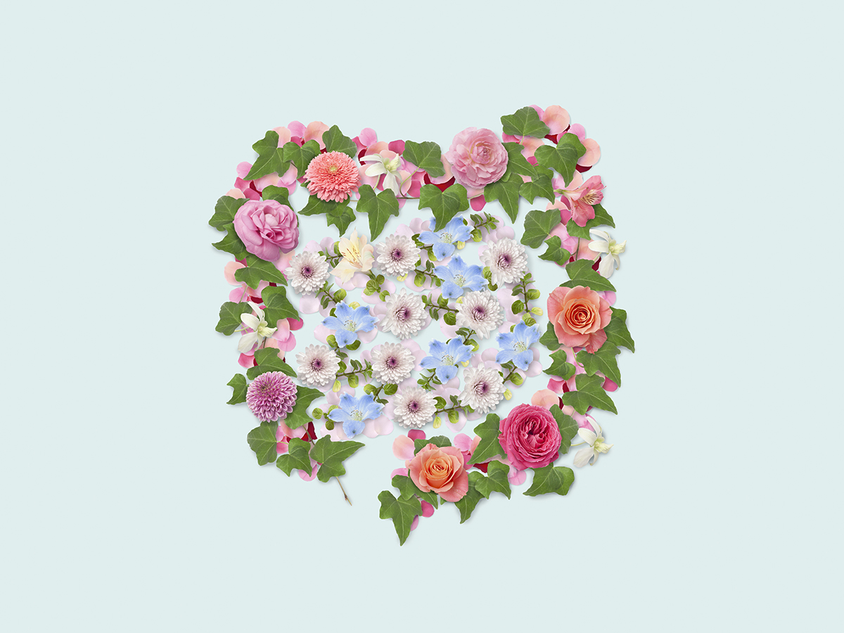 Flowers are arranged in shape of a human colon on a pale blue background