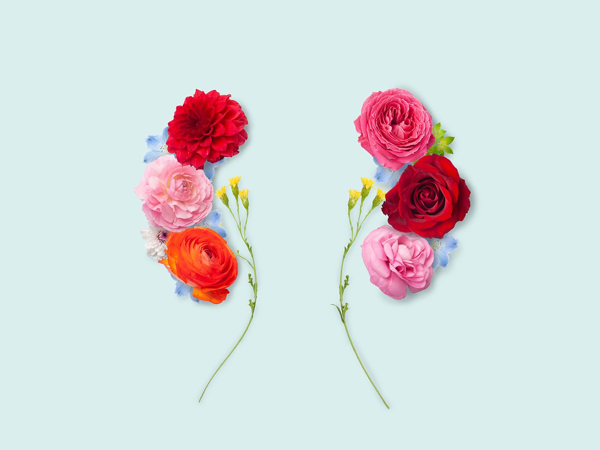 Colourful flowers are arranged in the shape of kidneys against a pale blue background