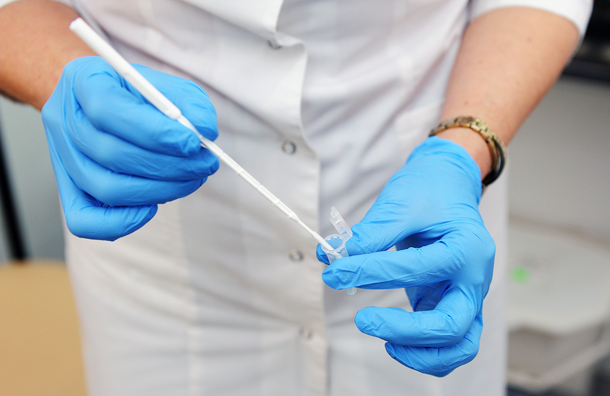 Hands wearing blue gloves are putting a swab in a tube