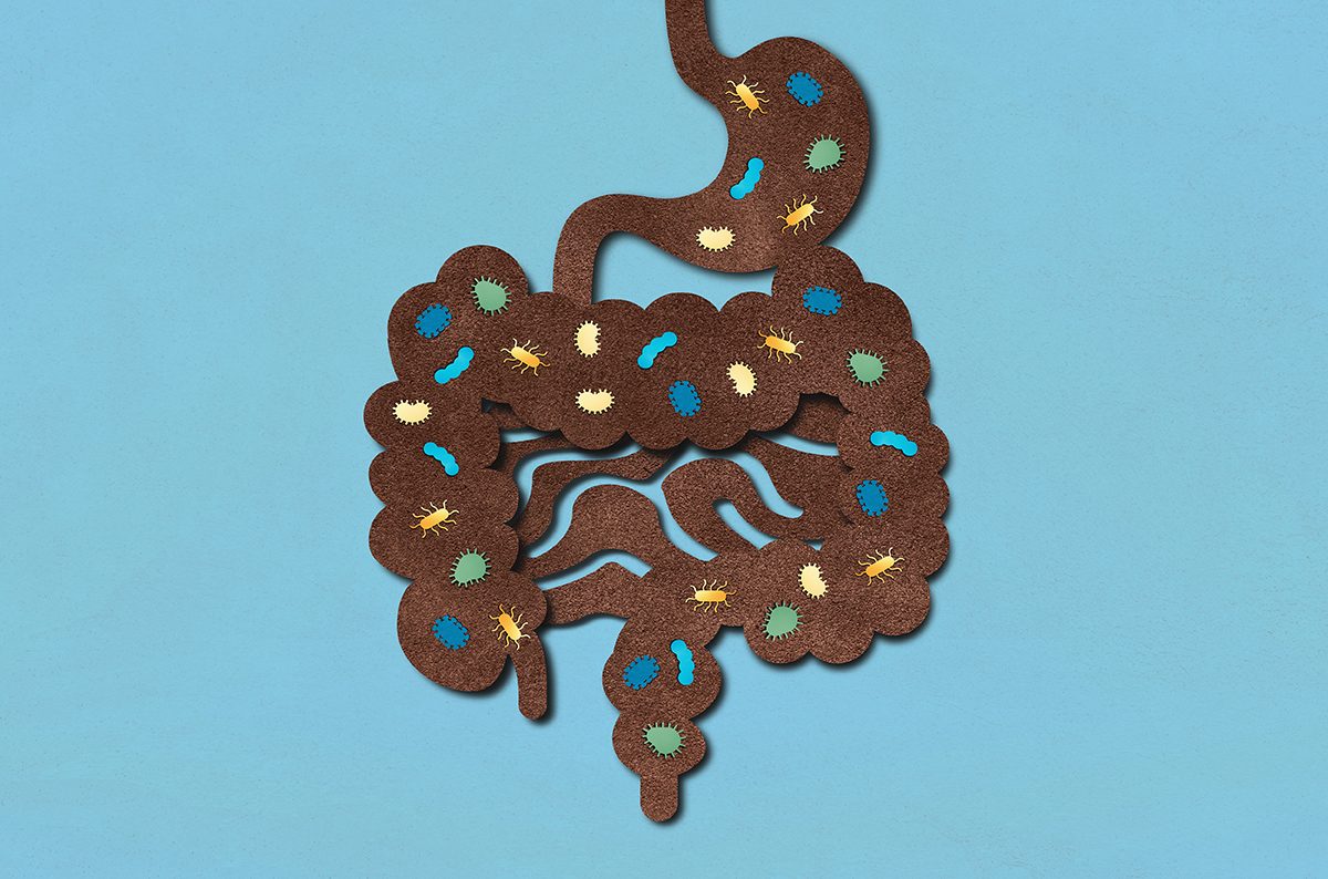 A diagram of microorganisms that live in the gastrointestinal tract
