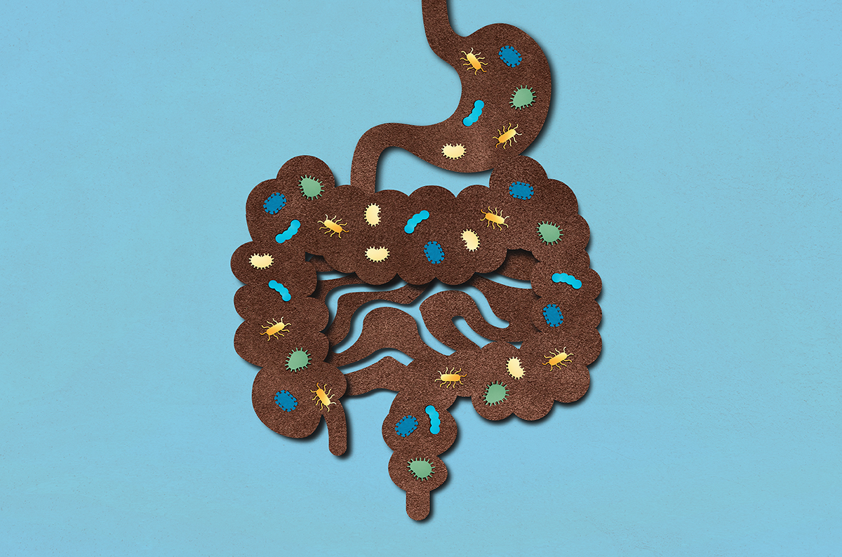 A diagram of microorganisms that live in the gastrointestinal tract