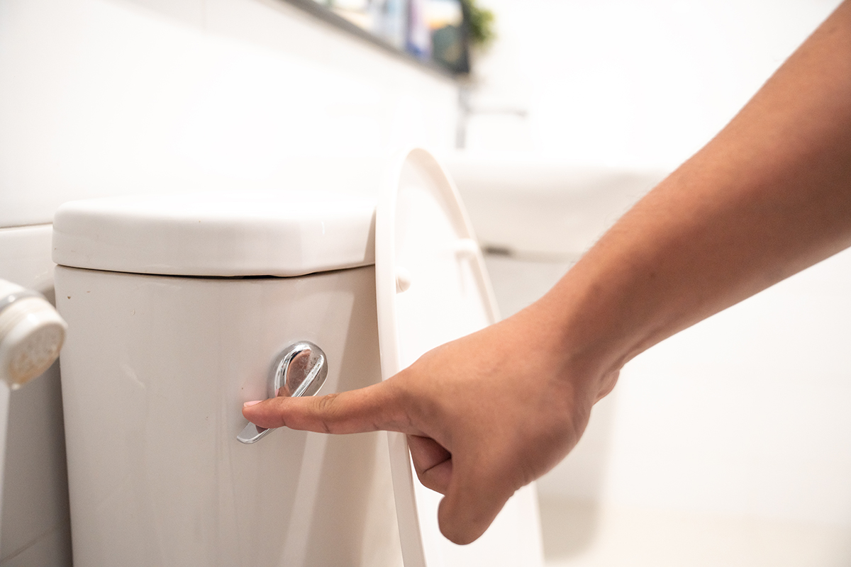 A hand flushing a toilet