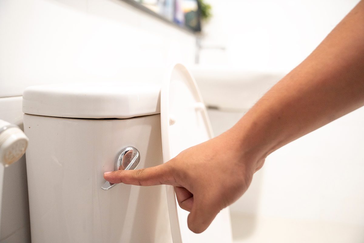 A hand flushing a toilet