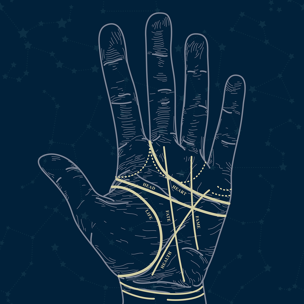 An illustration of a hand with the palm reading lines marked