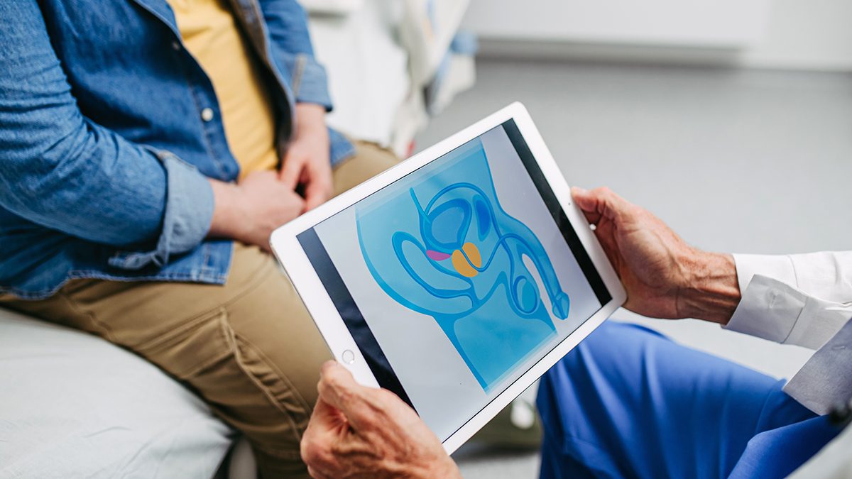 A doctor is showing a patient a digital illustration of a human pelvis with the prostate highlighted. The patient is wearing a denim shirt and brown trousers.