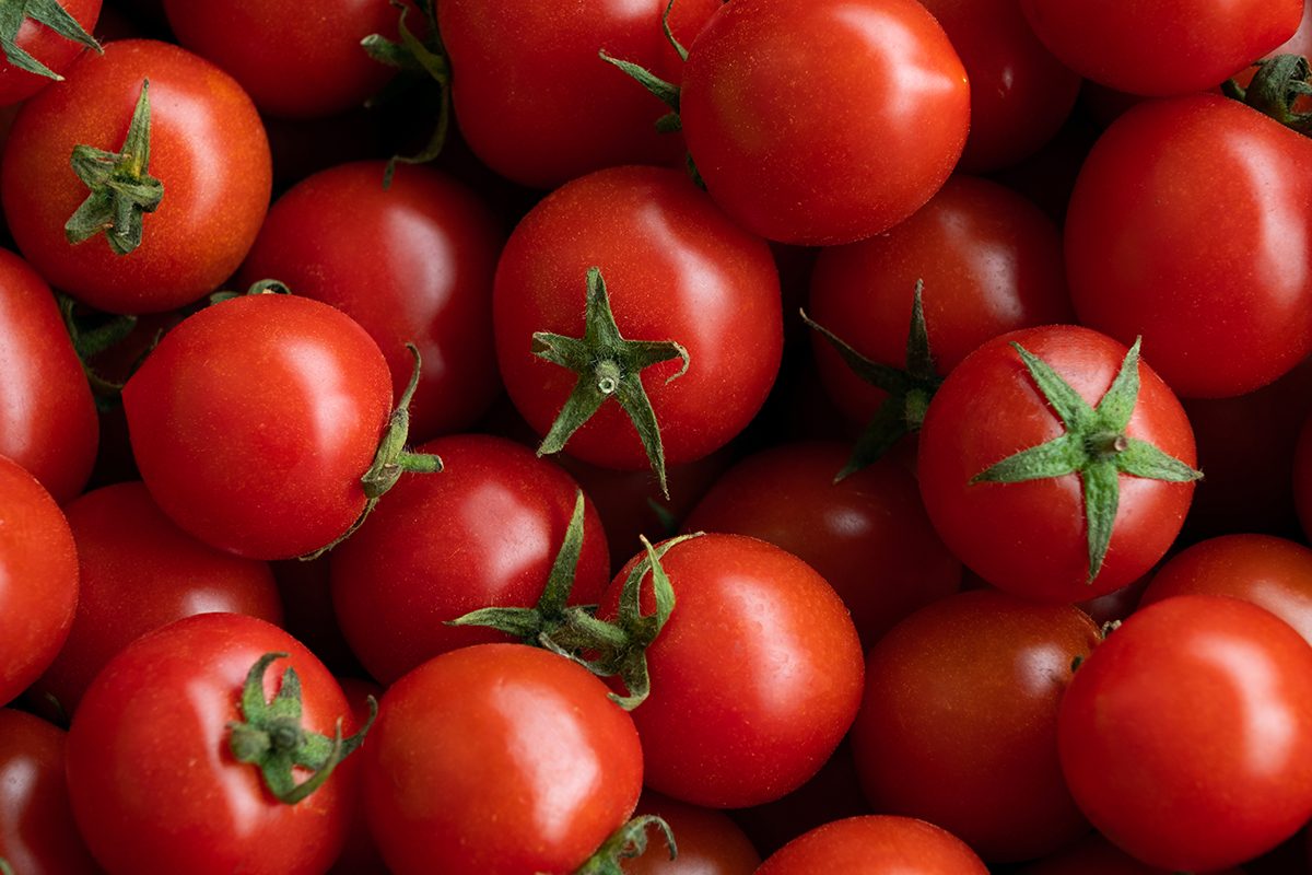 Close-up shot of ripe, red cherry tomatoes. 