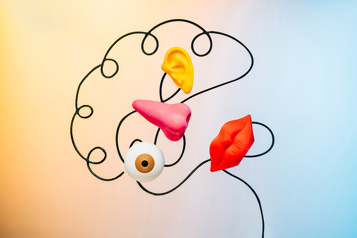 A colourful eye, nose, ear and mouth positioned at different angles on top of an outline of a human brain