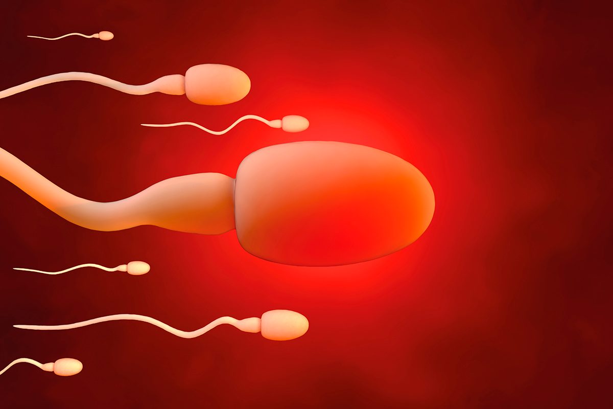A digitally-generated image of sperm cells moving on a red background