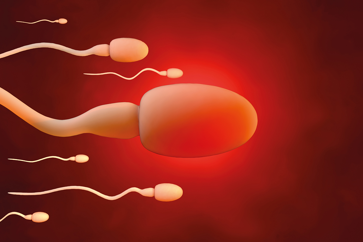 A digitally-generated image of sperm cells moving on a red background