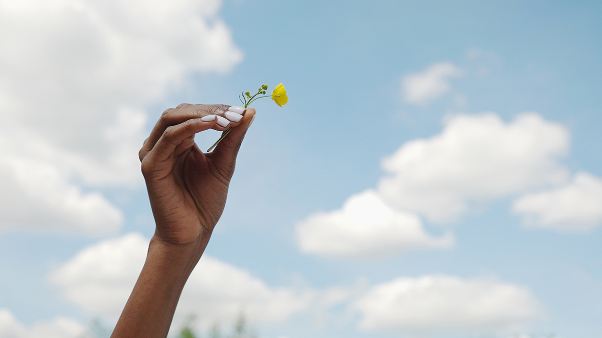 A hand holds a buttercup in the air against a background of a blue sky with fluffy clouds. 