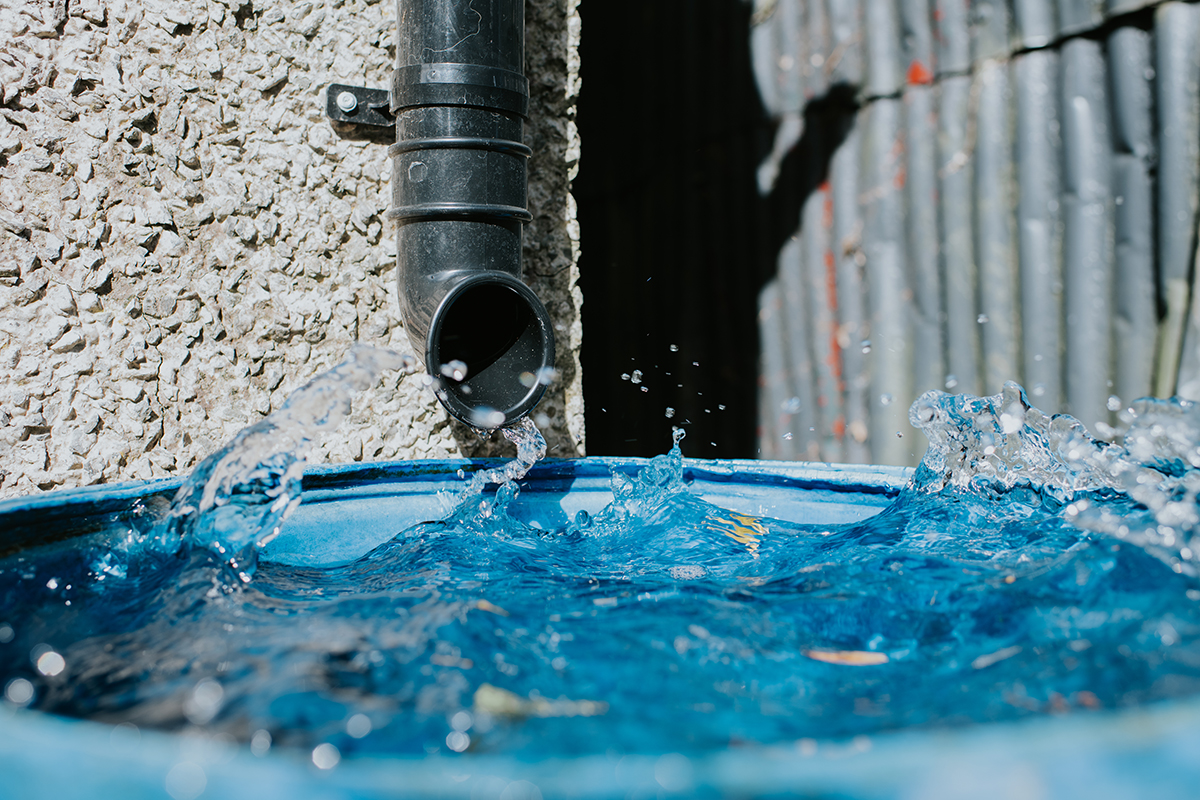 Water flows from a black drainpipe into a rainwater tank.