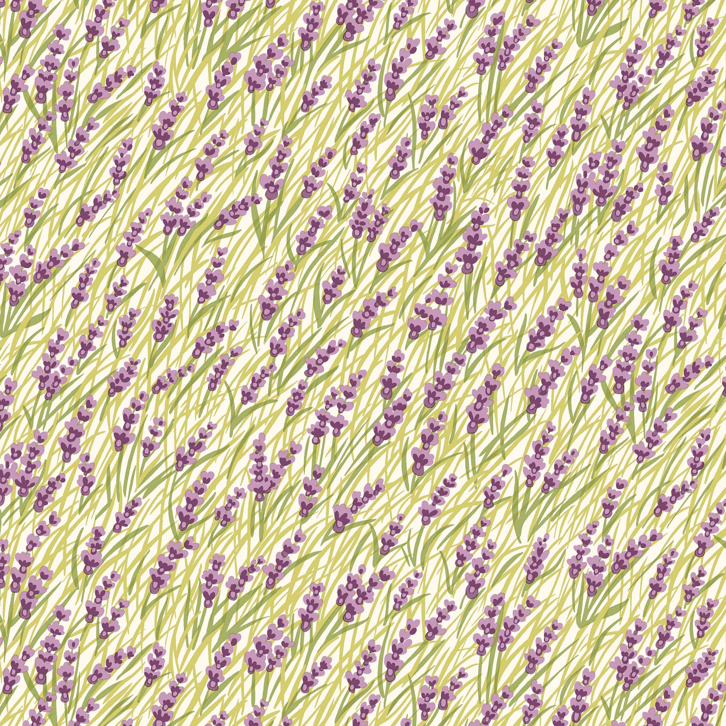 Image: Marsh Orchids