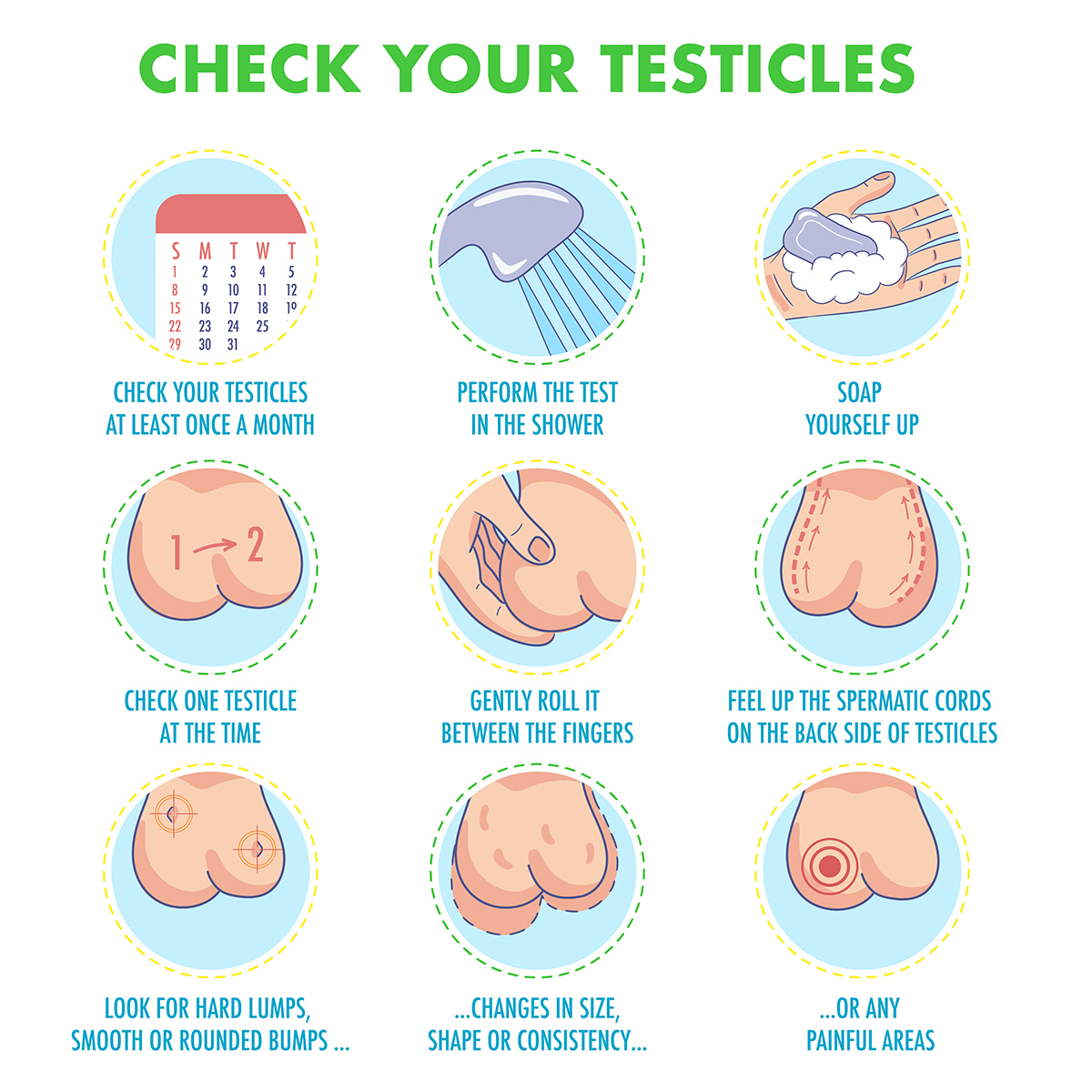An infographic explaining how to check your testicles