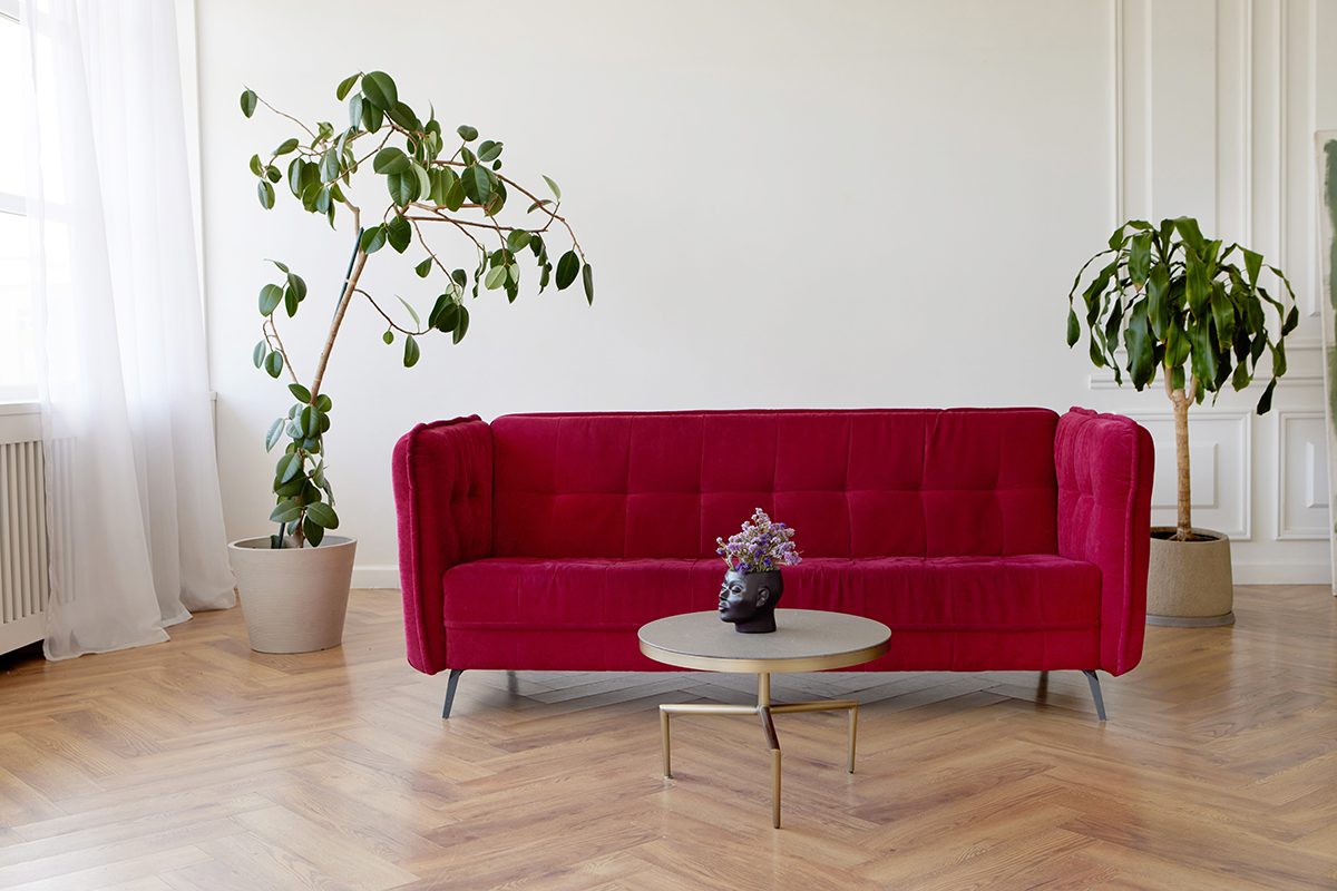 A comfortable red sofa is placed on parquet flooring near potted green plants and a coffee table.