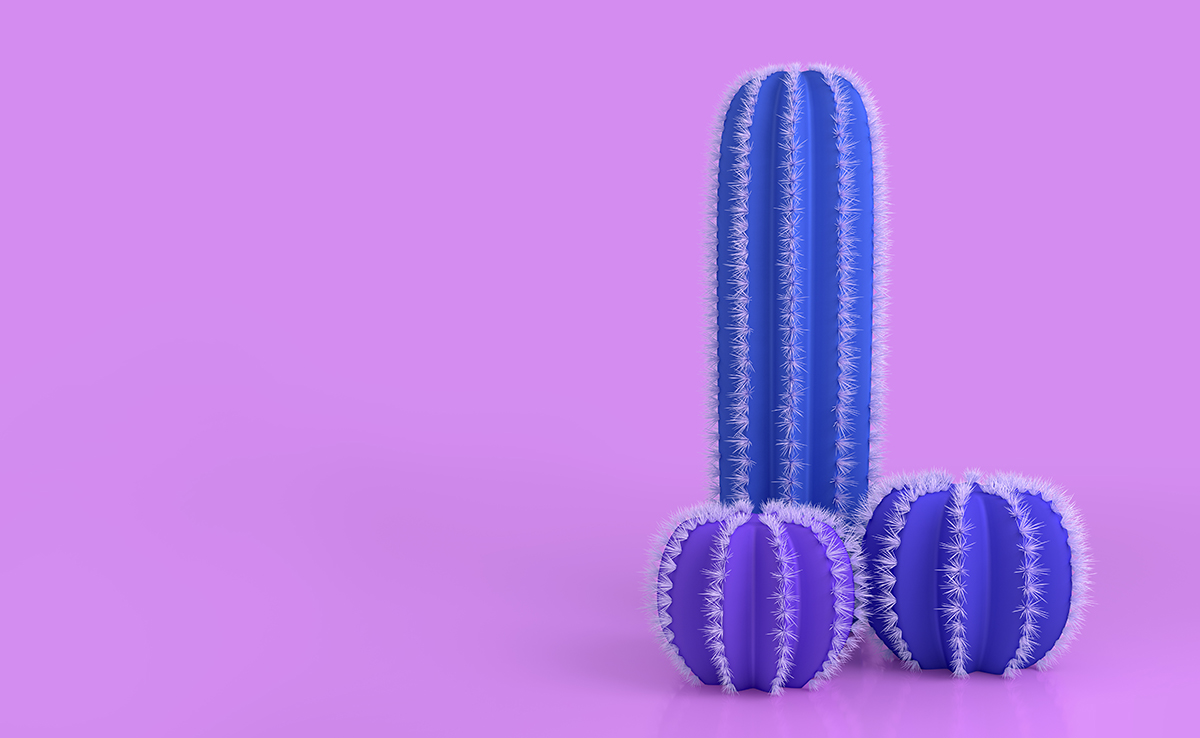 Blue cacti in the shape of a penis against a purple background
