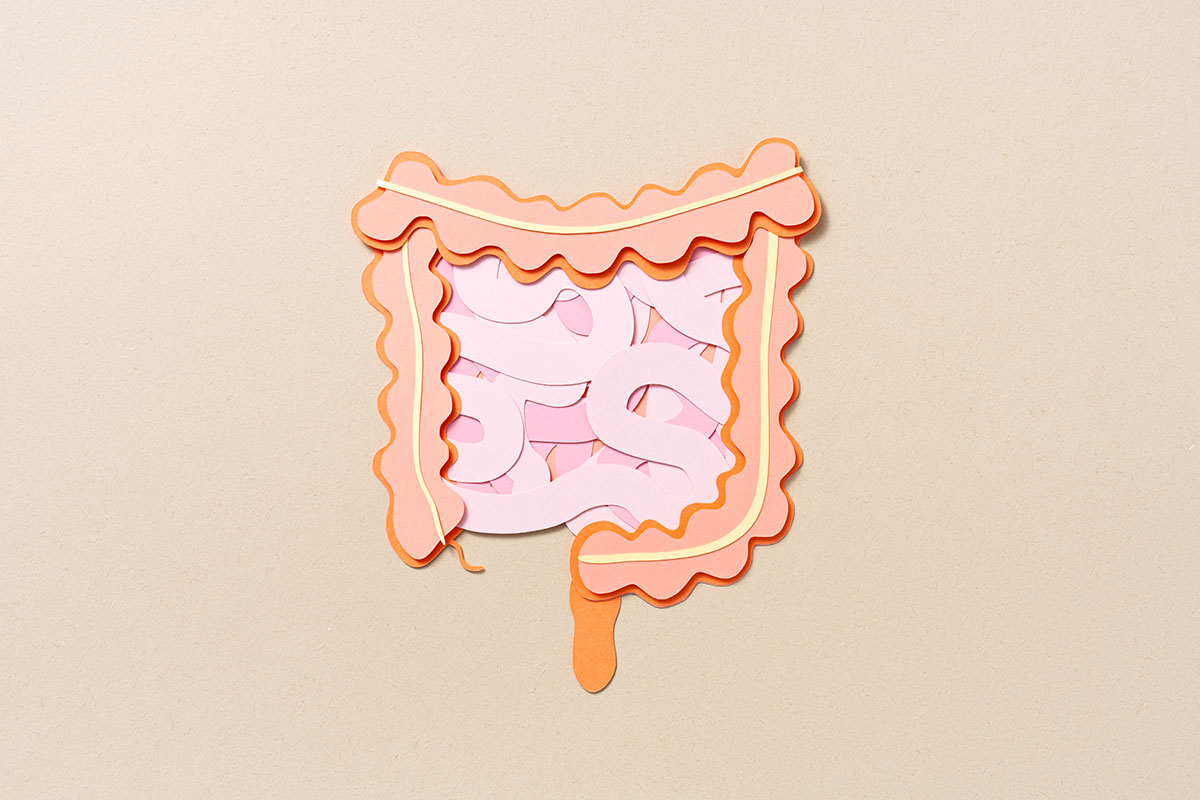 A paper craft of a human intestine on a beige background