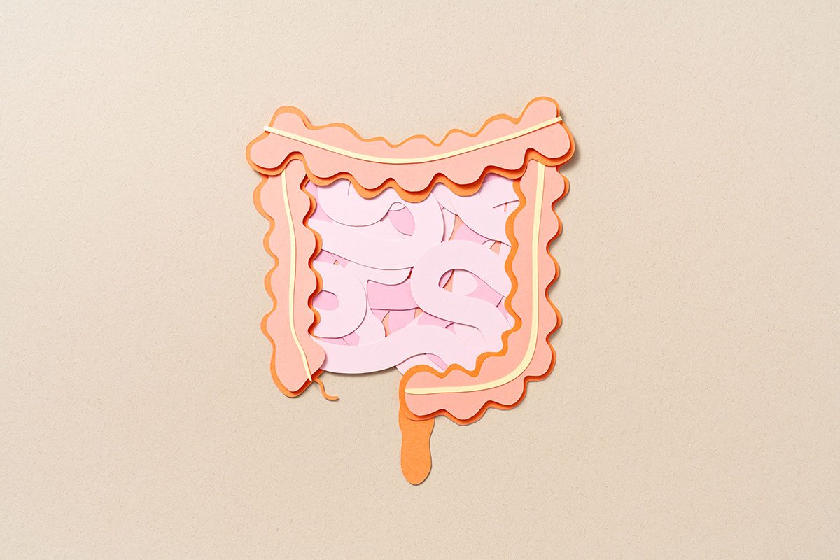 A paper craft of a human intestine on a beige background