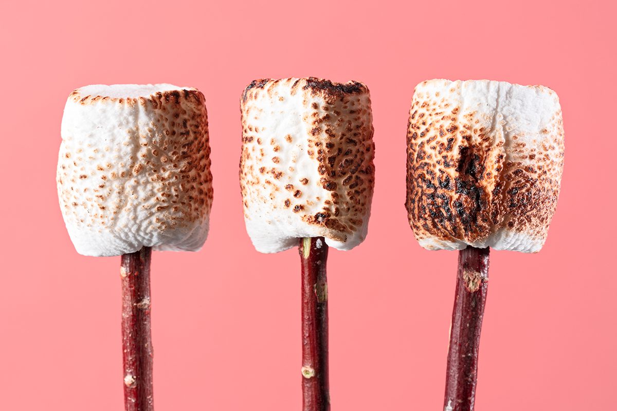 Three toasted marshmallows on twigs are set against a pink background