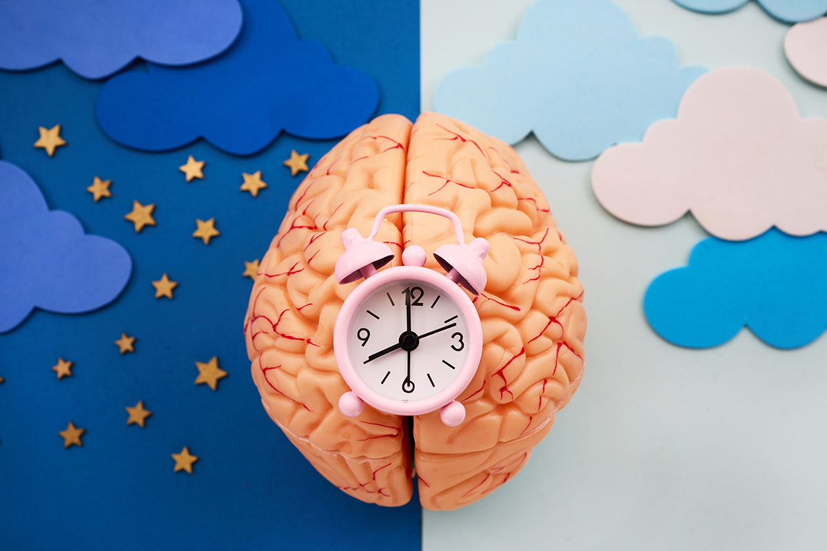 A human brain with a pink alarm clock on top is placed in the centre of a background representing night and day.