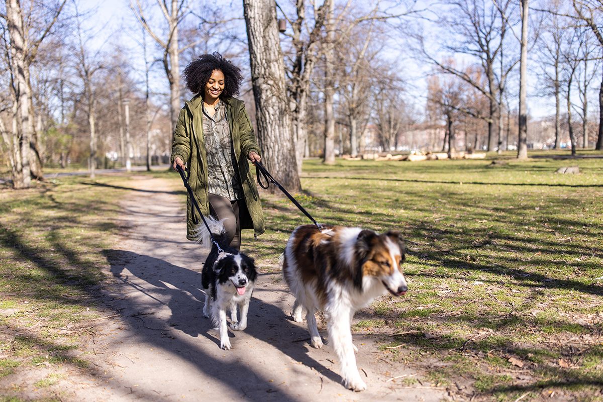 Look after a friends dogs - Getty images