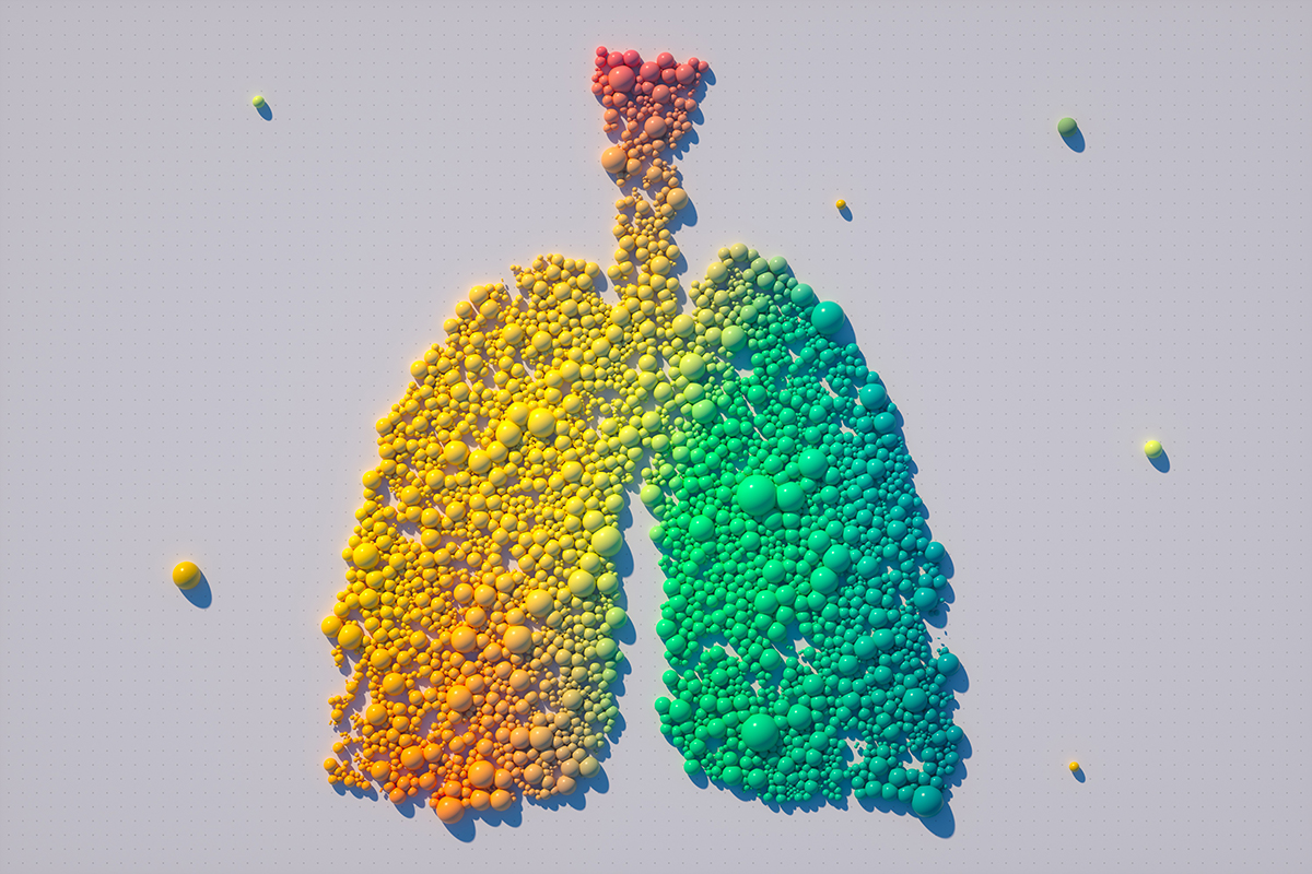 A digitally-generated image of multicoloured spheres arranged in the shape of lungs