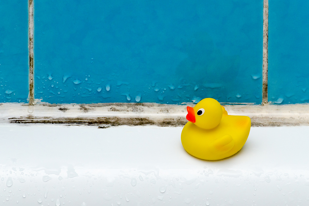 A rubber duck sits on a mouldy bathroom surface