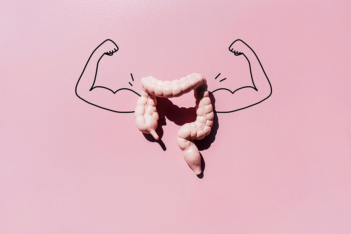 A model of a colon with drawn arms flexing their biceps