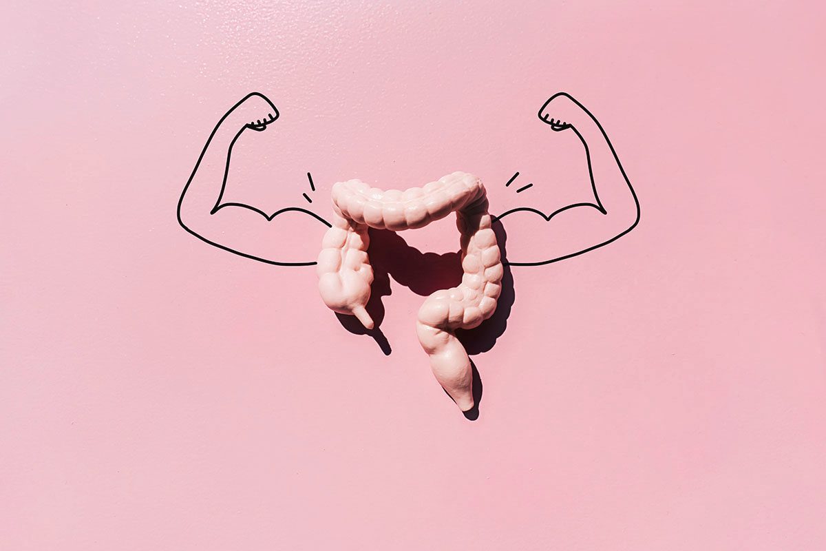 A model of a colon with drawn arms flexing their biceps