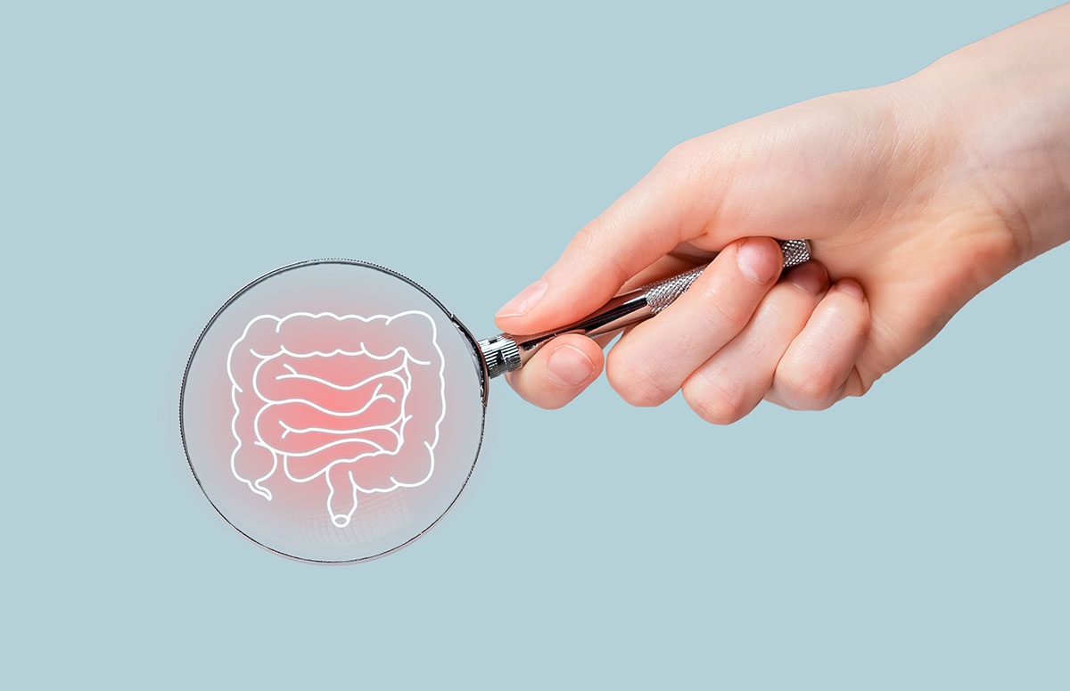 A hand holds a magnifying glass over an illustration of the intestines