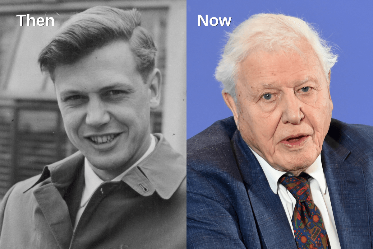 A side-by-side comparison of David Attenborough in his youth and today