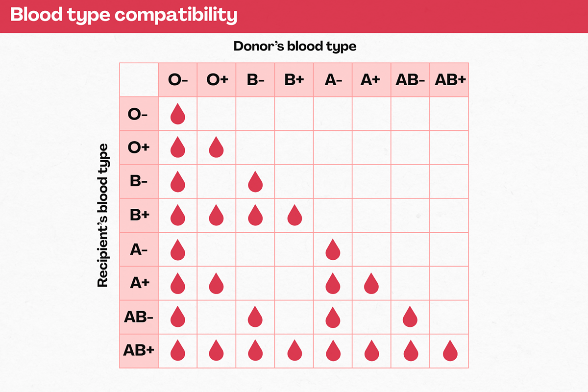 A diagram explaining blood type compatibility