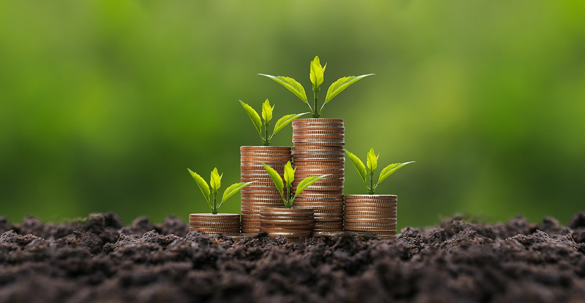 Piles of coins with leaves sprouting from the top are growing from soil