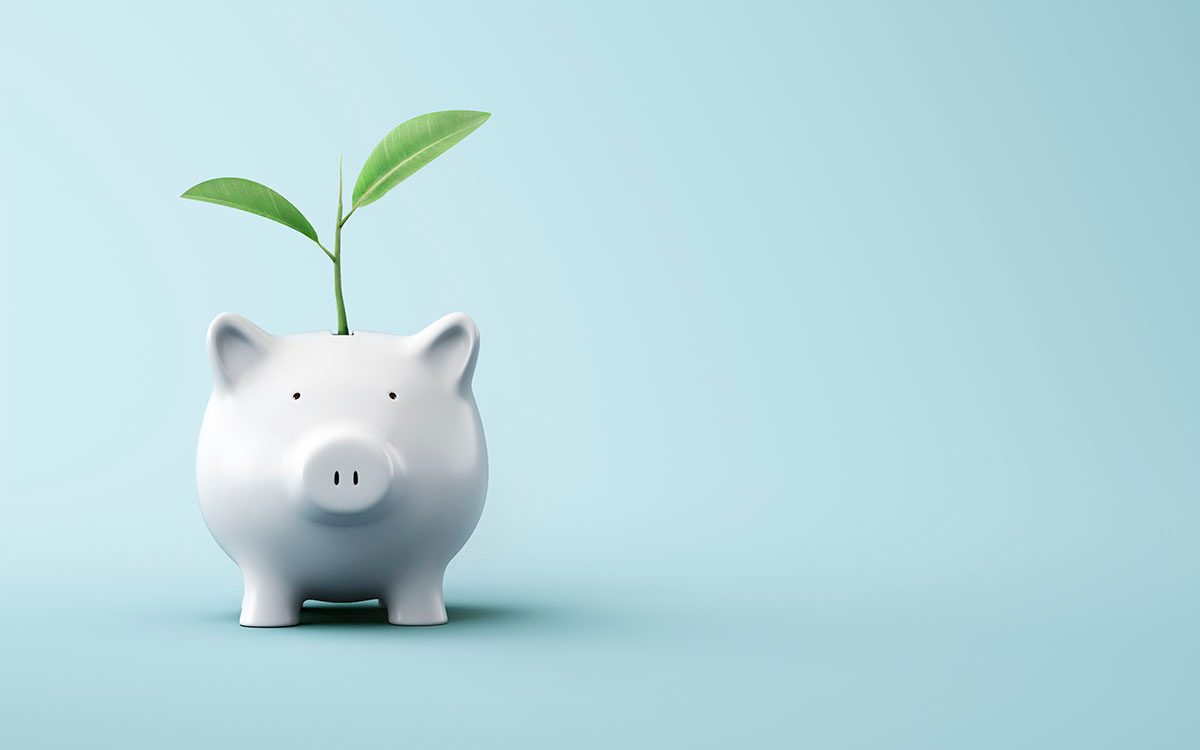 A green plant is coming out of a white piggy bank against a blue background