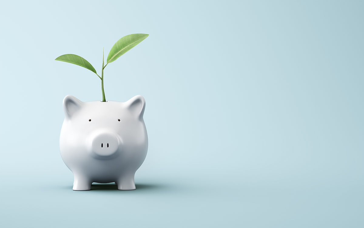 A green plant is coming out of a white piggy bank against a blue background
