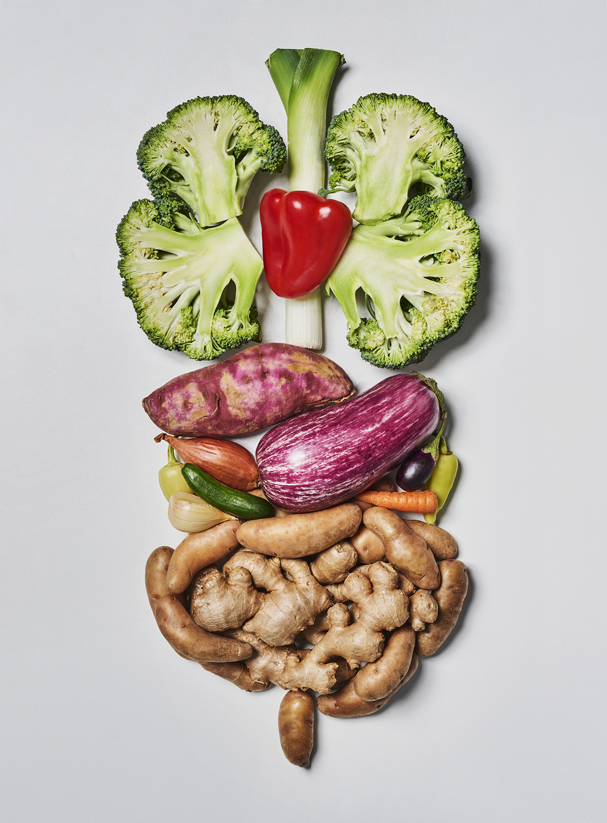Vegetables arranged in the shape of a human digestive system