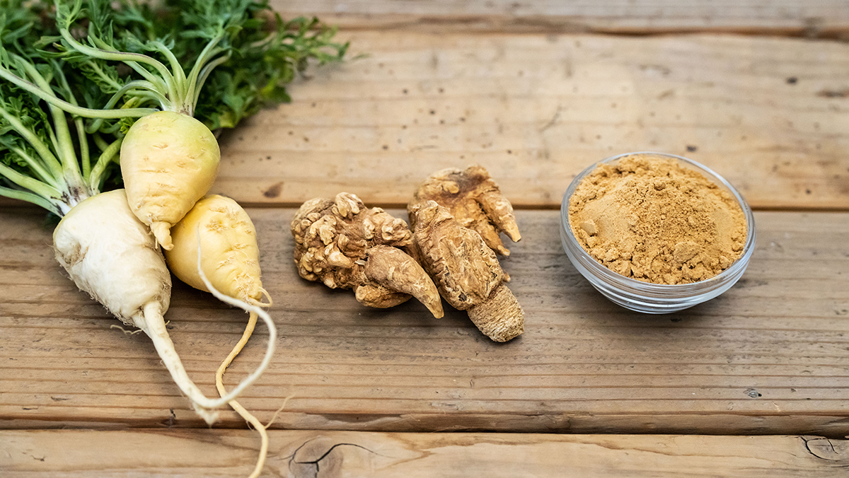 Fresh maca root and powdered maca root on a wooden surface