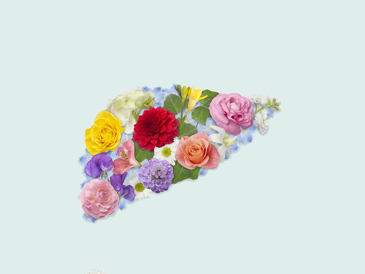 A collage of flowers, including roses, lilies, and violets, are arranged in the shape of a liver against a light blue background.